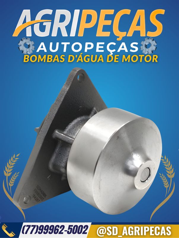 BOMBAS D'ÁGUA DE MOTOR